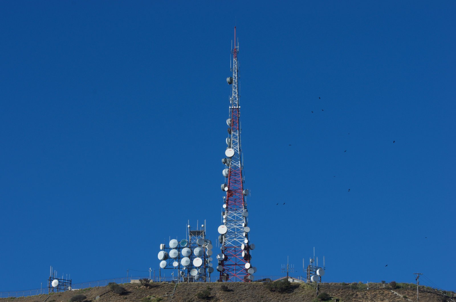Hollywood Sign029